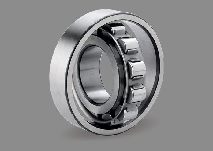 Cylindrical Roller Bearings 